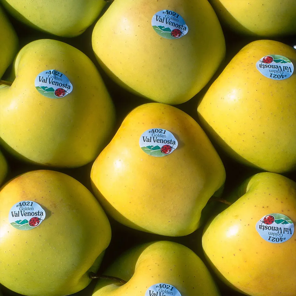 5. Ambient Food Label application fruit label.webp